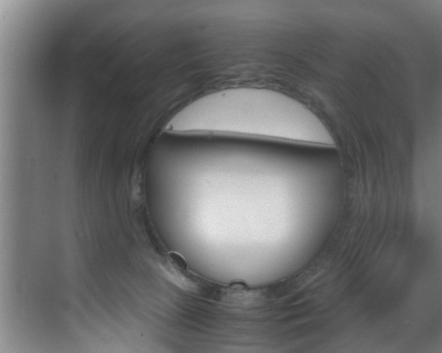 X0000070210081200605261113