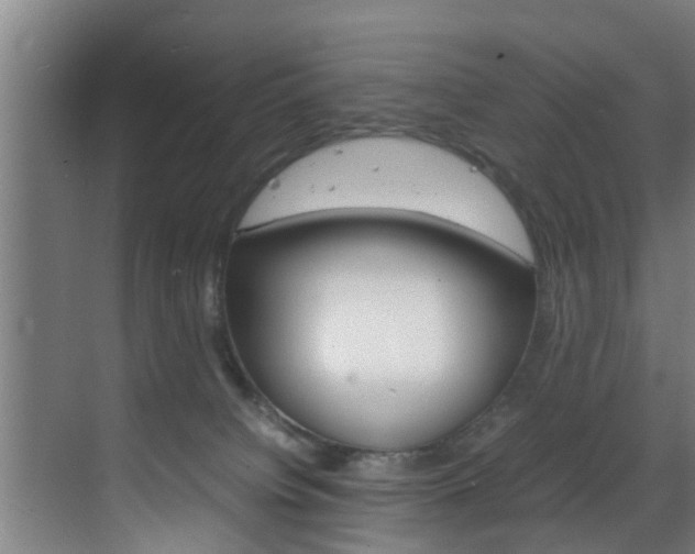 X0000070210084200605261113