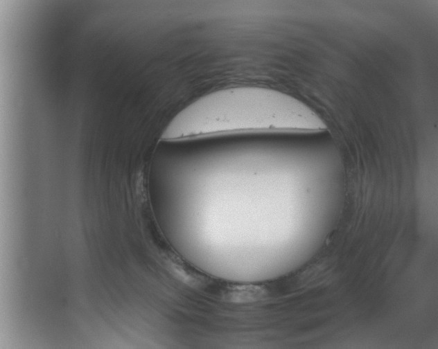 X0000070210087200605261113