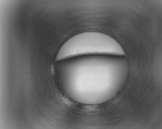 X0000070210089200605261113