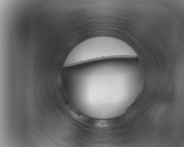 X0000070210091200605261113