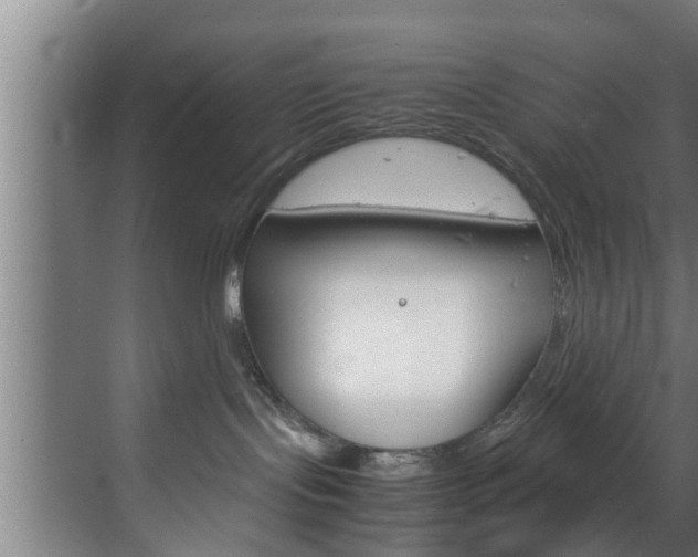 X0000070210095200605261113