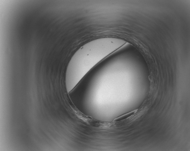 X0000070210096200605261113