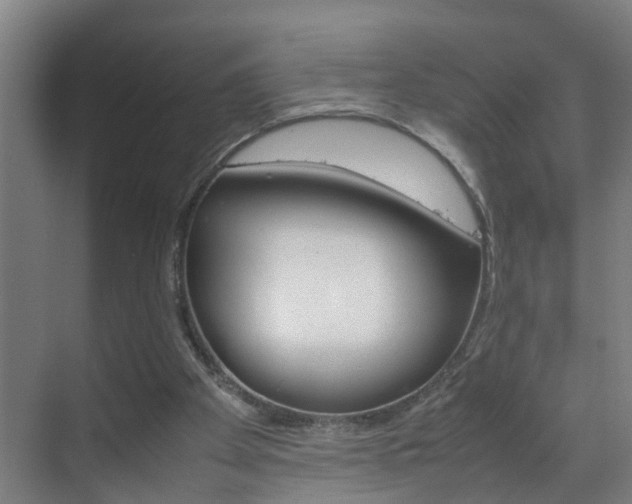 X0000070210105200605261112