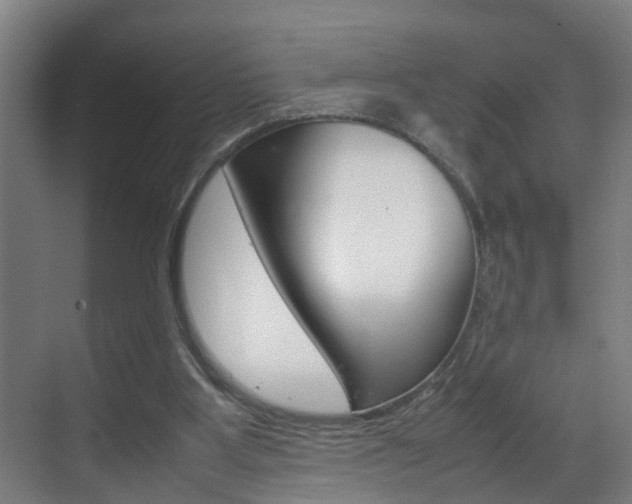 X0000070210107200605261112