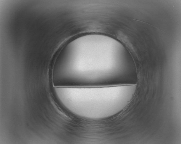 X0000070210108200605261112