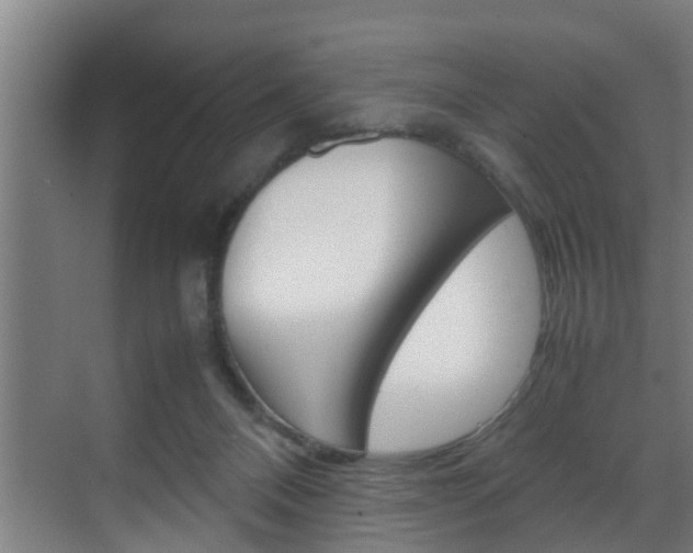 X0000070210120200605261112