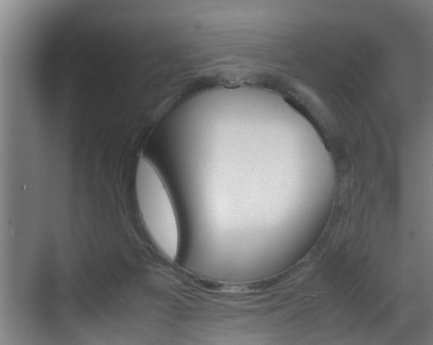 X0000070210121200605261112