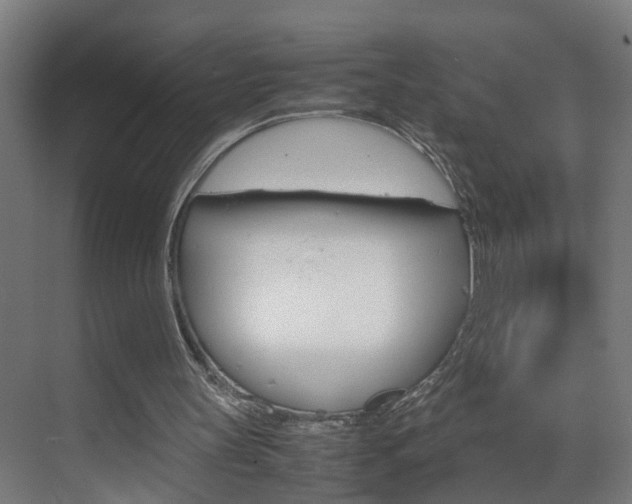 X0000070210147200605261111