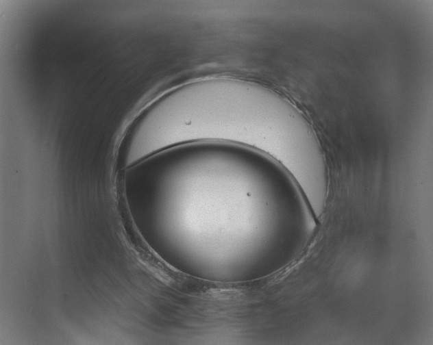 X0000070210150200605261111