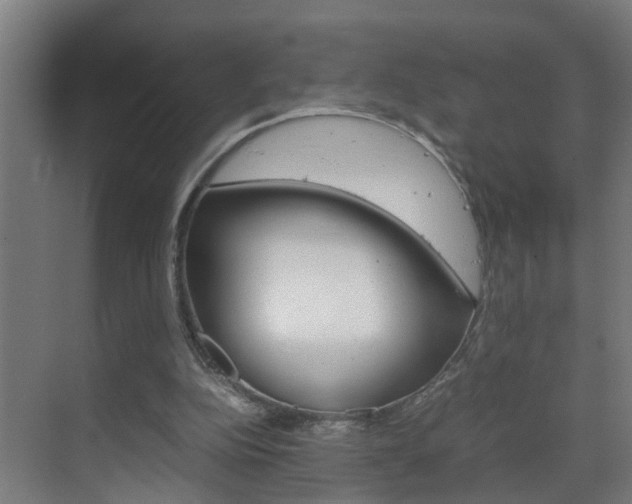 X0000070210152200605261111