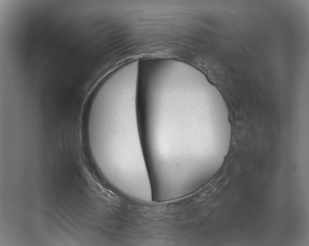X0000070210194200605261111