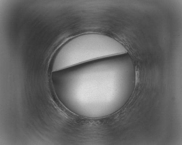 X0000070210243200605261109