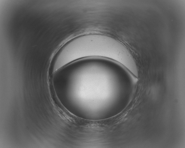 X0000070210244200605261109