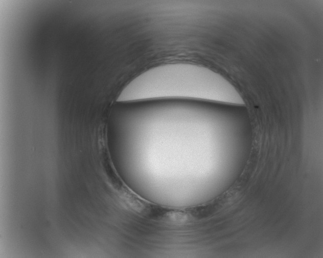 X0000070210272200605261110