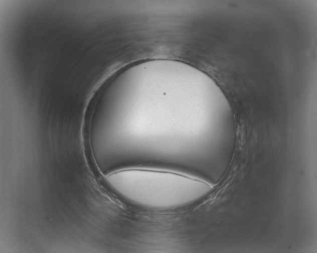 X0000070210292200605261109