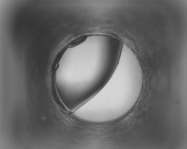 X0000070210295200605261109