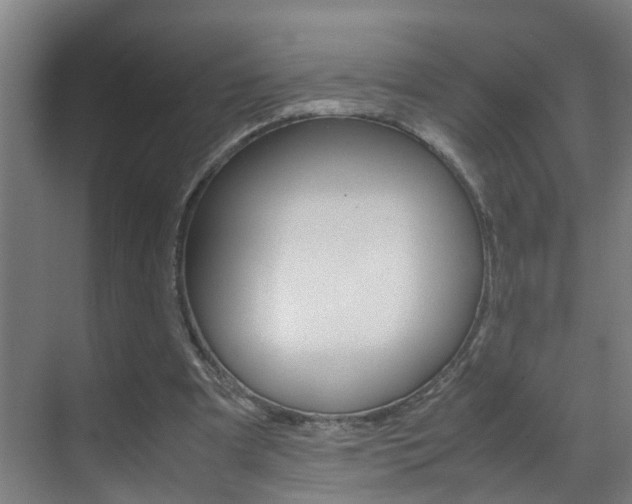 X0000070210297200605261109