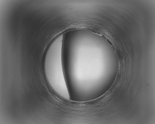 X0000070210301200605261109