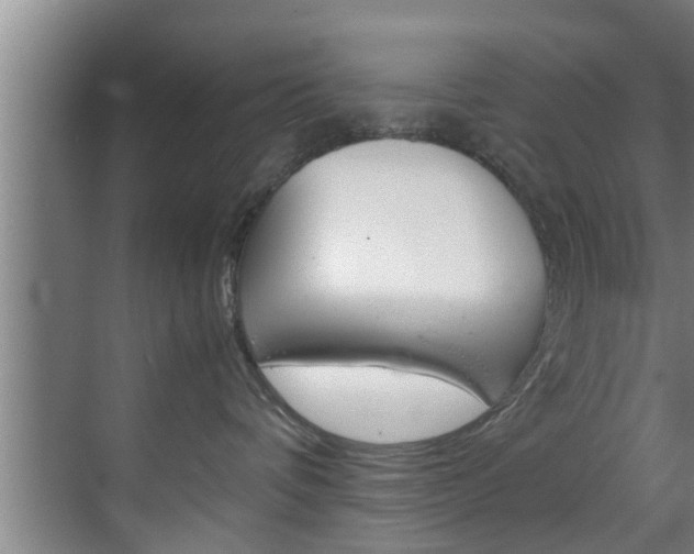 X0000070210336200605261108