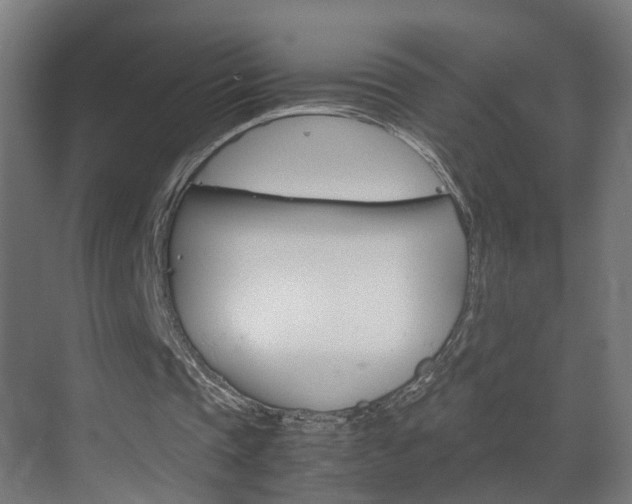 X0000070210337200605261108