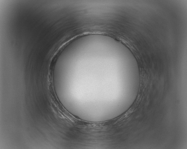 X0000070210338200605261108