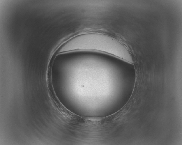 X0000070210340200605261108