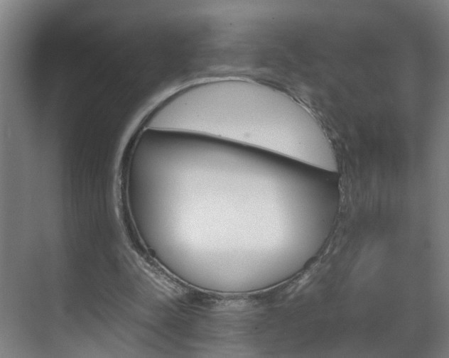 X0000070210342200605261108