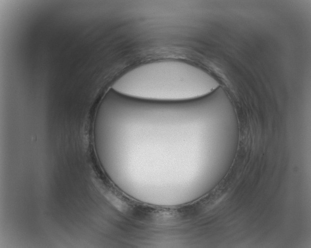 X0000070210402200605261107