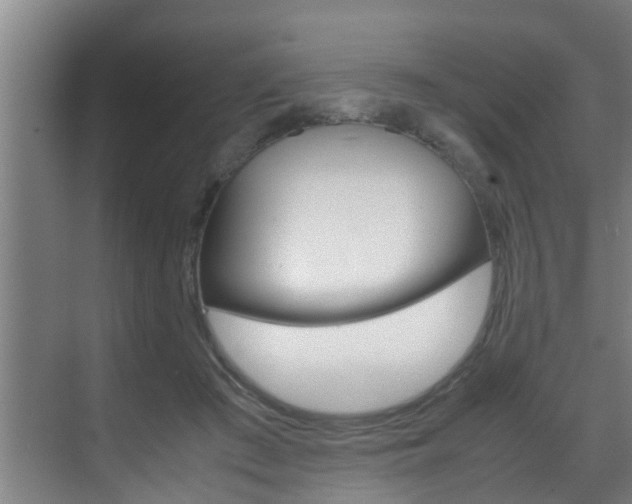 X0000070210409200605261107