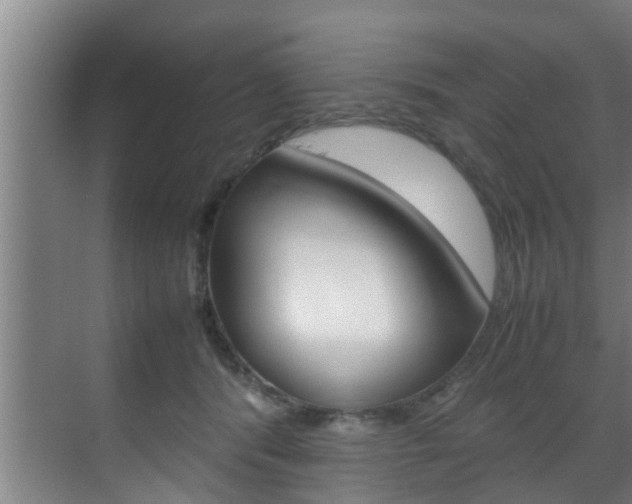 X0000070210416200605261107