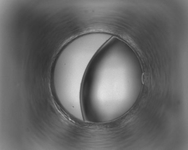 X0000070210434200605261106