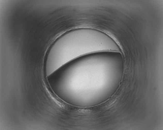X0000070210437200605261106