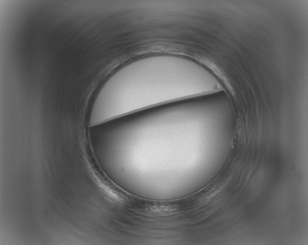 X0000070210445200605261106