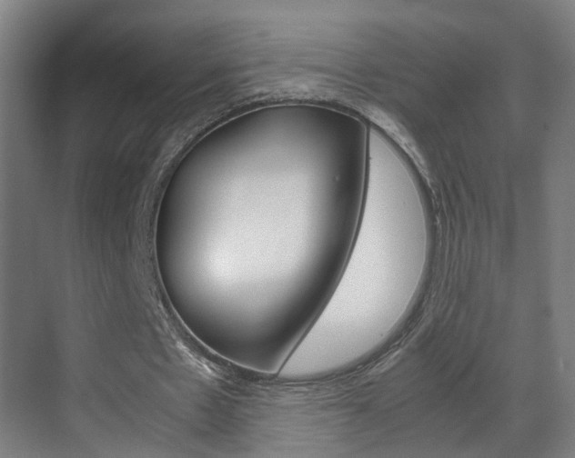 X0000070210481200605261106