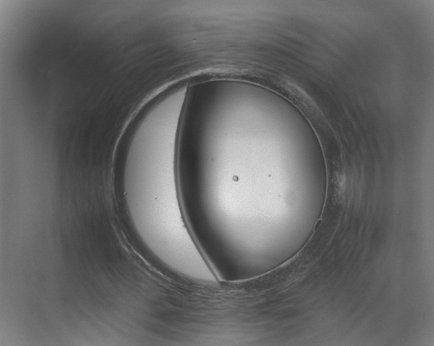 X0000070210484200605261106