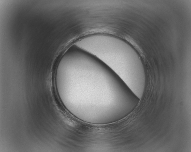 X0000070210486200605261106