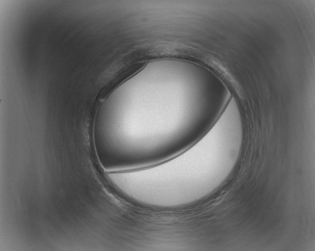 X0000070210489200605261106
