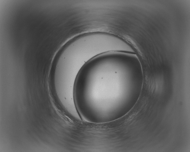 X0000070210532200605261104