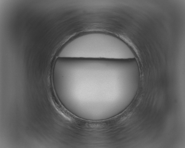 X0000070210533200605261104