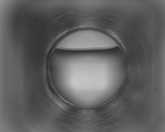 X0000070210535200605261104