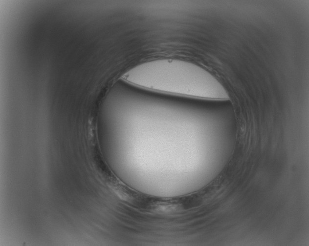 X0000070210555200605261105