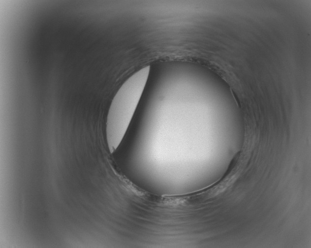 X0000070210576200605261105