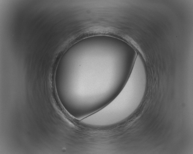 X0000070210581200605261104