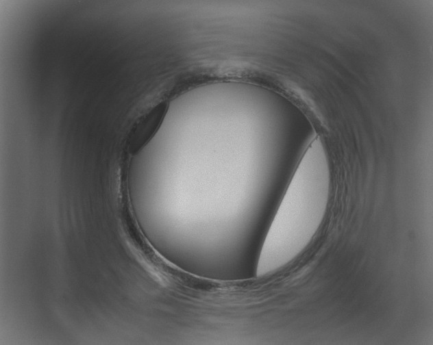 X0000070210589200605261104