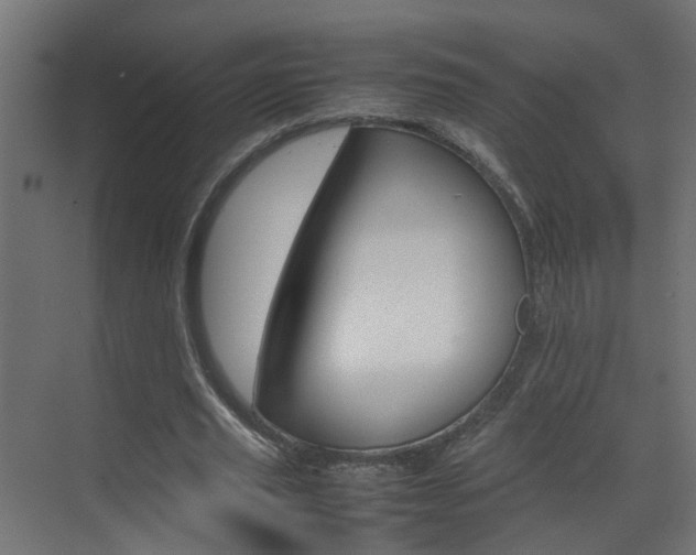 X0000070210629200605261103