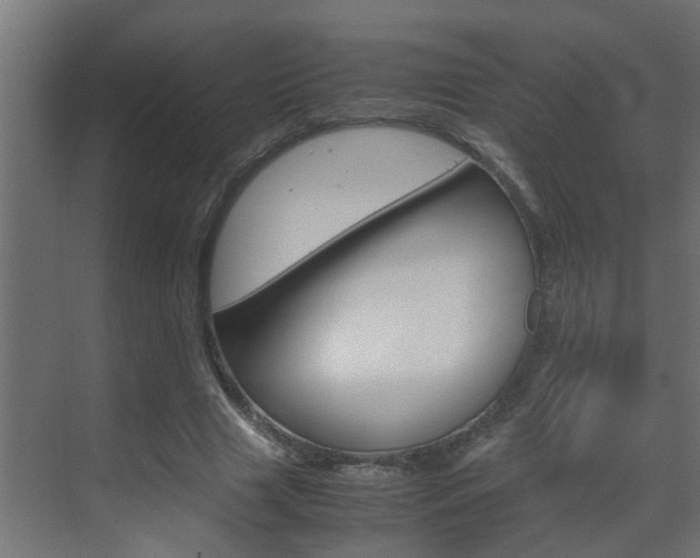 X0000070210633200605261103