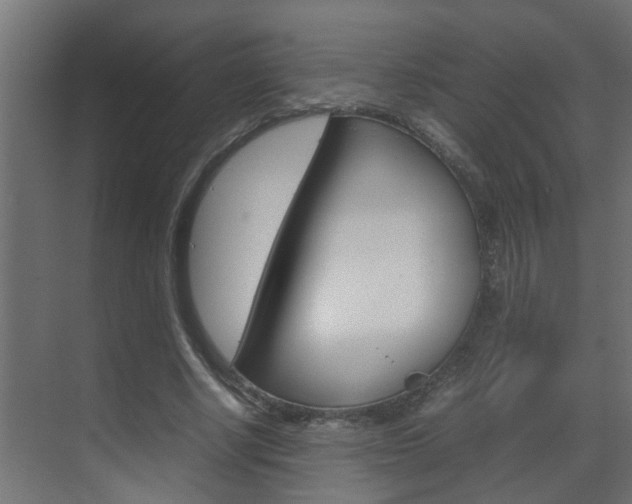 X0000070210634200605261103
