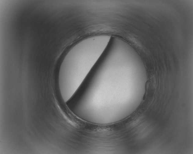 X0000070210638200605261103