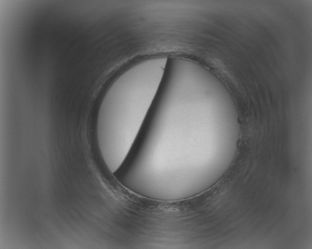 X0000070210640200605261103